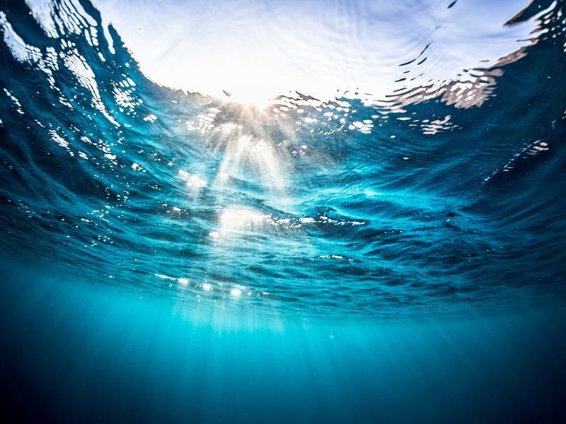 Nằm mơ thấy nước - Điềm báo bất ngờ & con số phát tài! 7 Ý nghĩa khi nằm mơ thấy nước